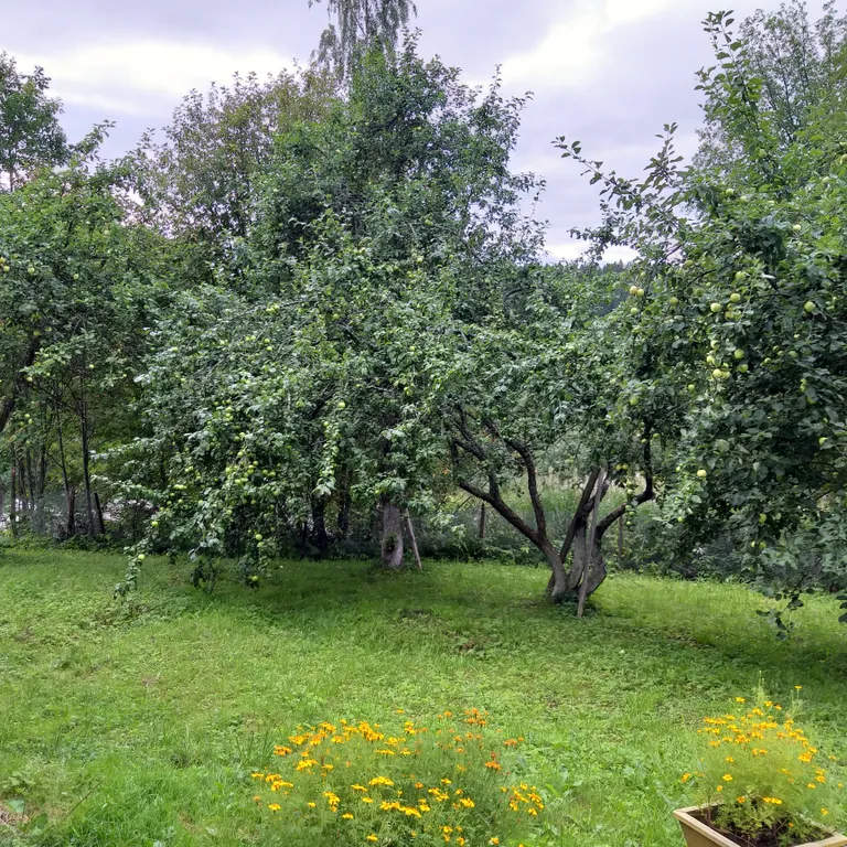 Дом на скале