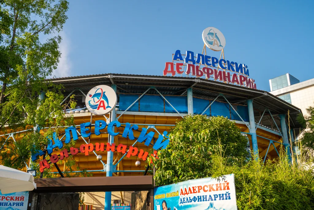 Квартира Светлая квартира с видом на море и бассейн — Адлер