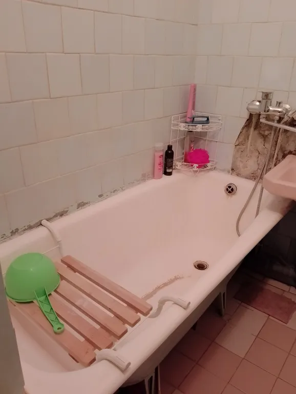 Уютная квартира в парке с соснами