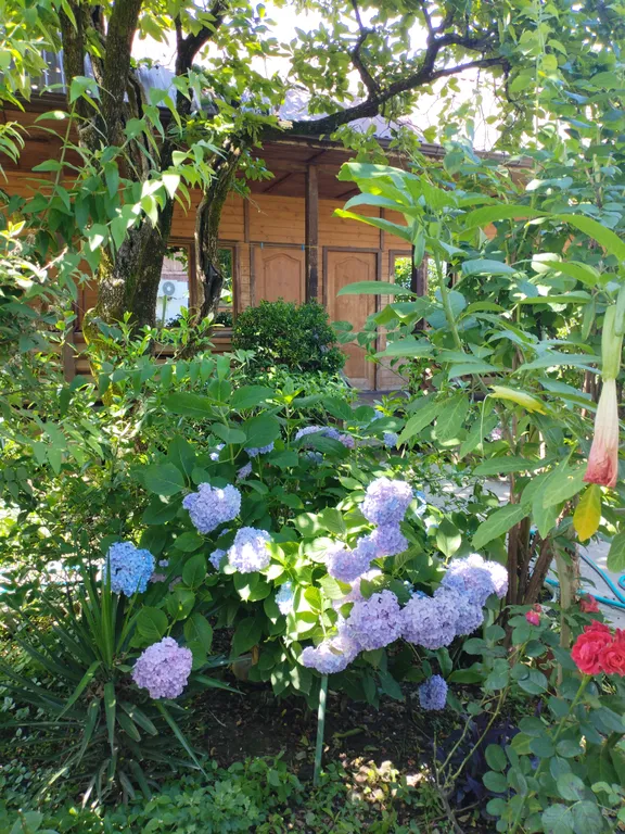 Трехместный коттедж эконом