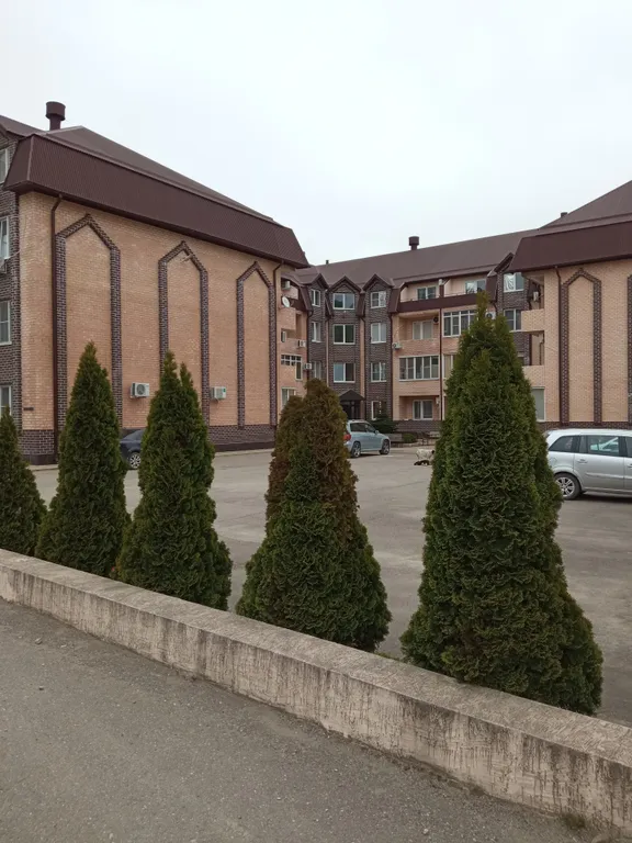 Уютная квартира недалеко от моря