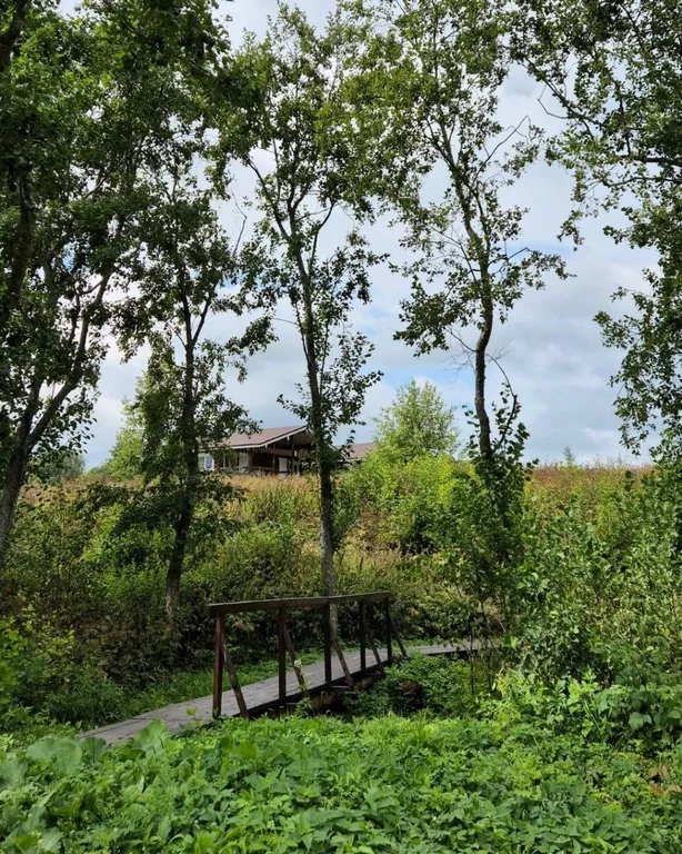 Домик на берегу озера