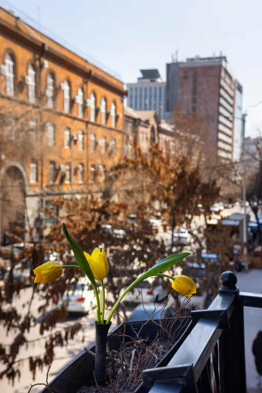 Апартаменты KeyGo #0062 ключ к центру Еревана