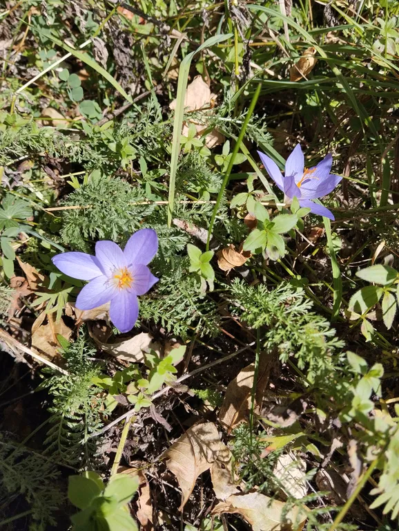 Уютный номер в Лаго-наки