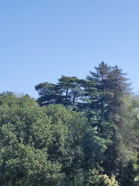 Квартира Квартира Студия в Парке — Адлер