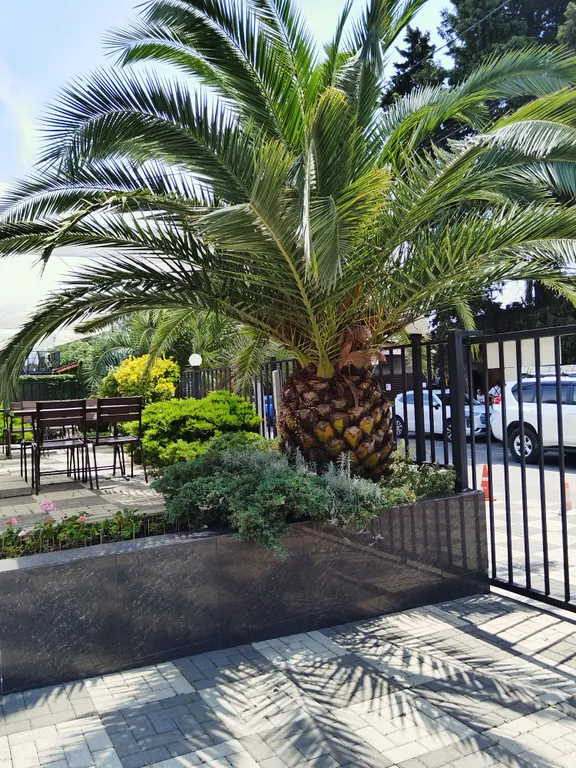 Квартира Квартира в центре Олимпийской набережной — Сириус