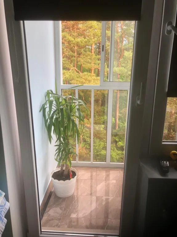 Квартира Квартира Гнёздышко у озера — Светлогорск