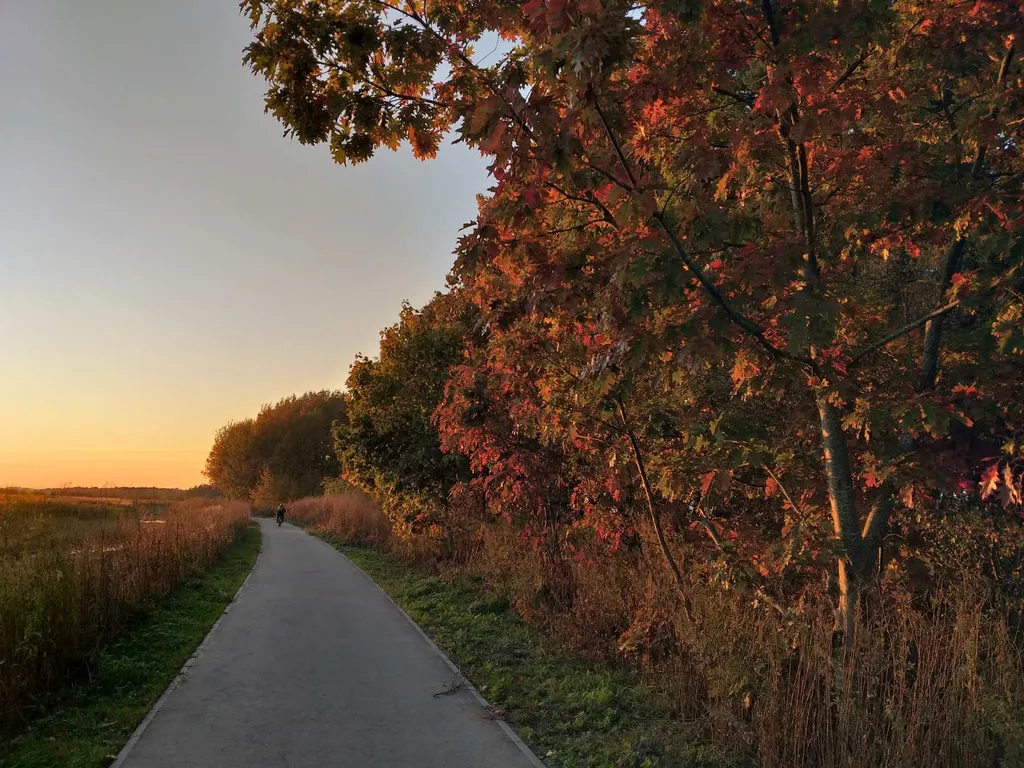 Квартира Двухкомнатная чудная квартира — Светлогорск