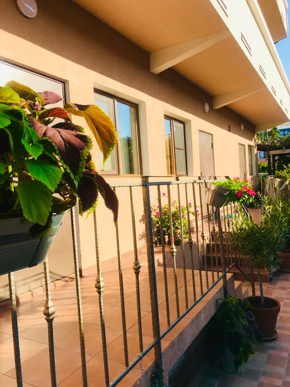 Квартира Квартира Уютные комнаты у моря — Сириус