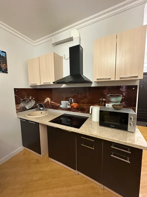 Студия с евроремонтом лофт