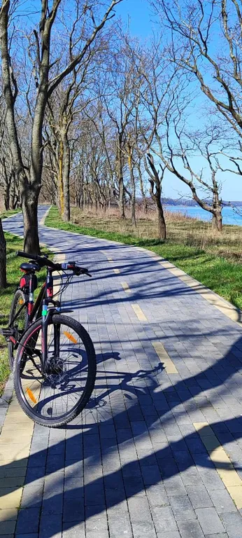 Квартира Красивая квартира с видом на море — Пионерский