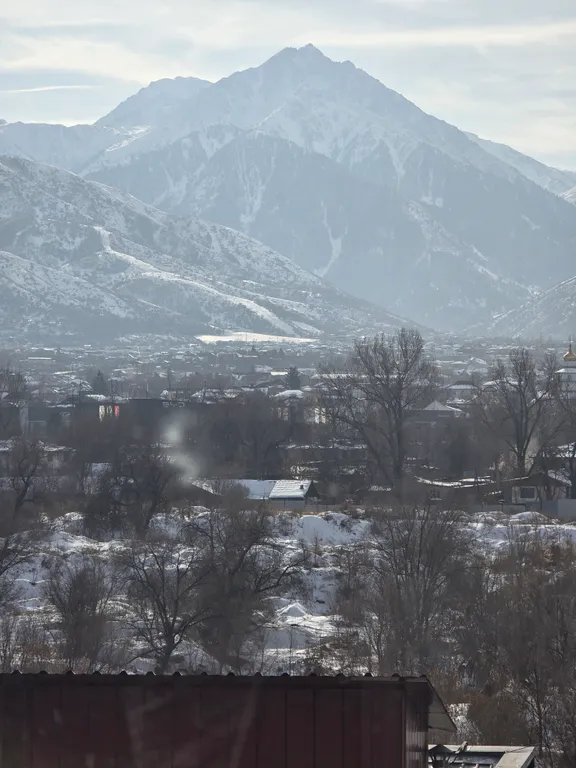 Квартира Braun — Алматы