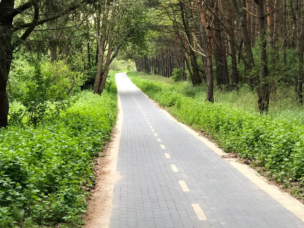 Коттедж Уютный дом у моря — Зеленоградск