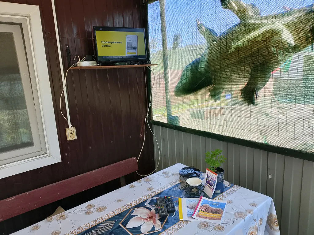 Гостевой дом "У Тузика", дом на 5-7 человек