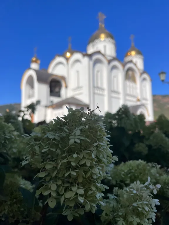 Квартира Апартаменты на Дивноморской — Геленджик