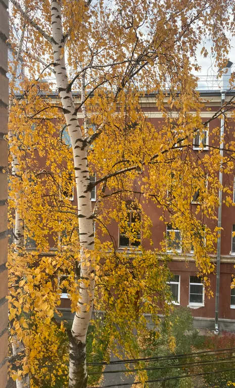 Уютная квартира в Золотом треугольнике Петергофа