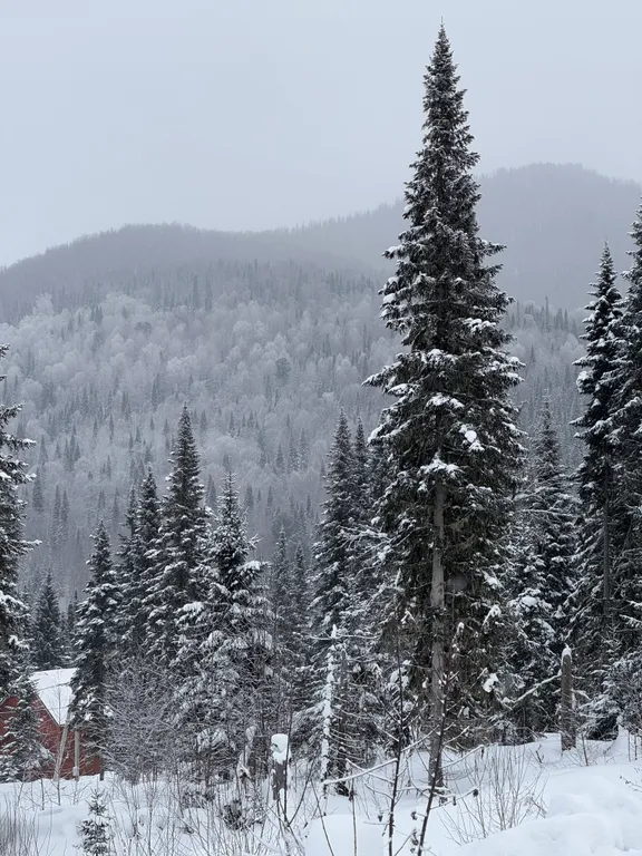 Гостевой дом Баzа уютное размещение на горе, рядом баня