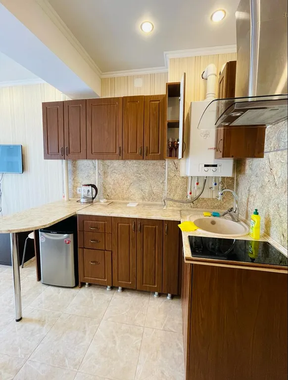 Квартира 1-комнатная Квартира — Сочи