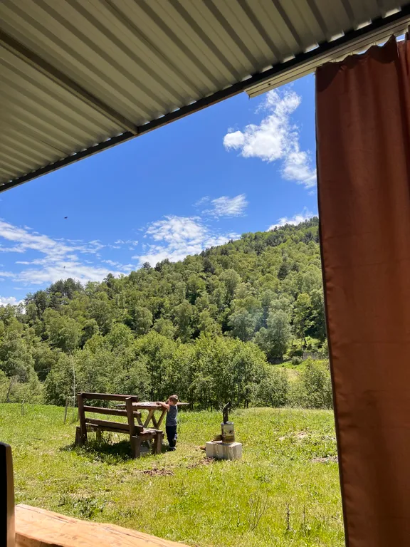 Домик в лесу