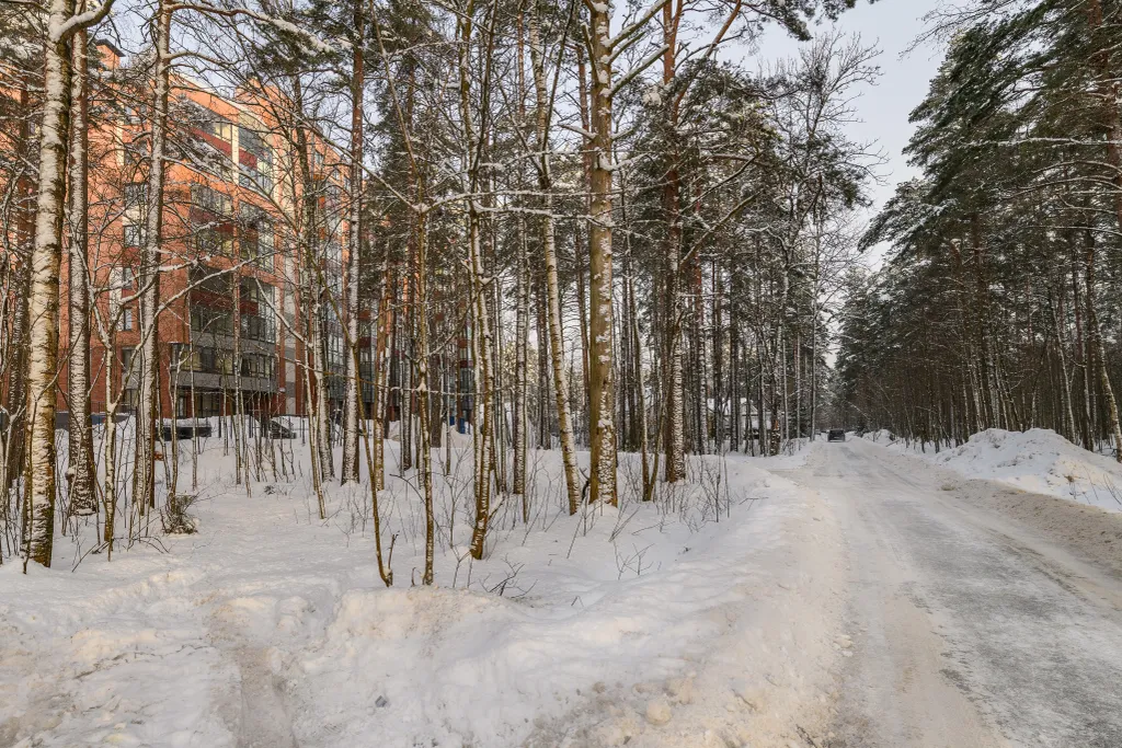 Студия с видом на сосны в Зеленогорске, закрытая территория