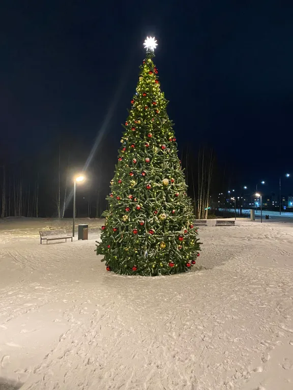 Уютная студия вблизи Витославлиц и Свято-Юрьева Монастыря