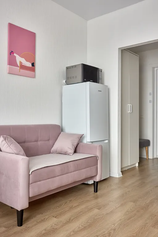 Студия 25 квадратных метров рядом с Аэропортом Внуково