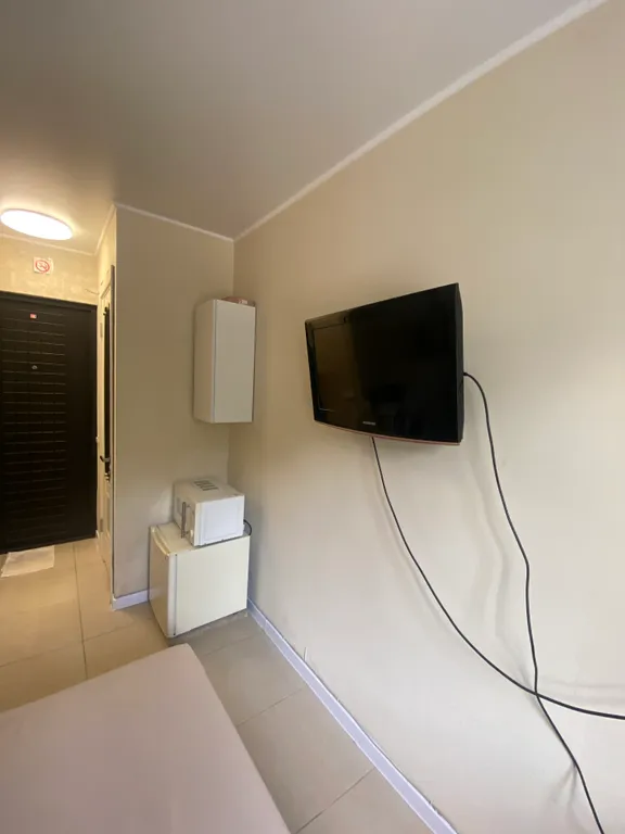 Маленькая студия рядом с лесом