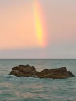 ММА