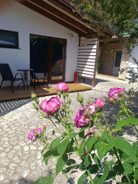 Аппартамент на двоих в соснах у Черного моря