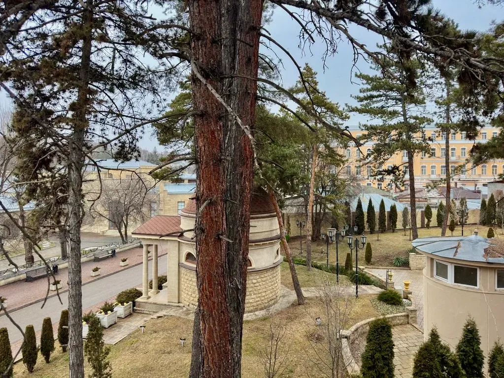 Квартира в парке