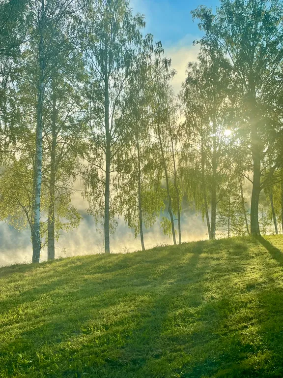 Домик с озером