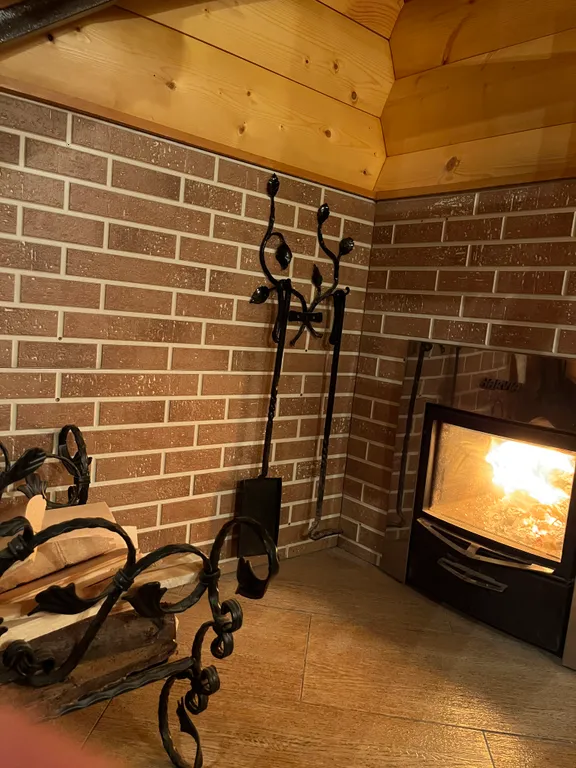 Дом-баня В гостях у Троицы