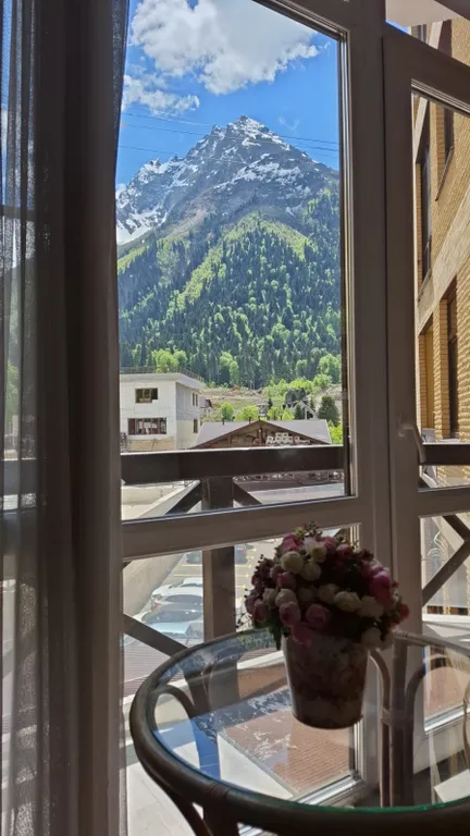 Уютный апартамент в центре с балконом и видом на горы лес