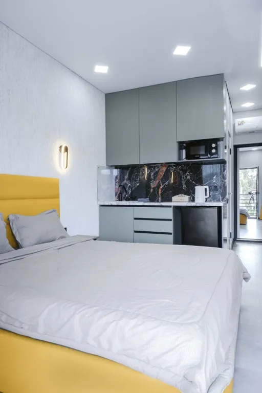 Квартира 1-комнатная Квартира — Сириус