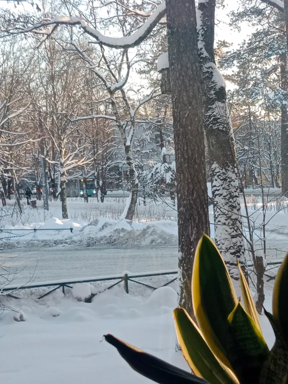 Квартира Квартира от собственника в Курортном районе, Песочный — Песочный