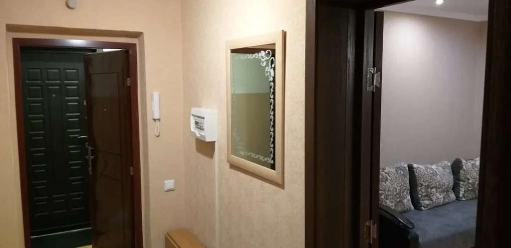 Однокомнатная квартира в центре, напротив Дворца Спорта Аркада