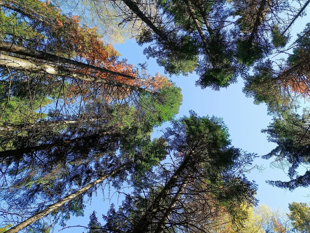 Гостевой дом счастье любит тишину