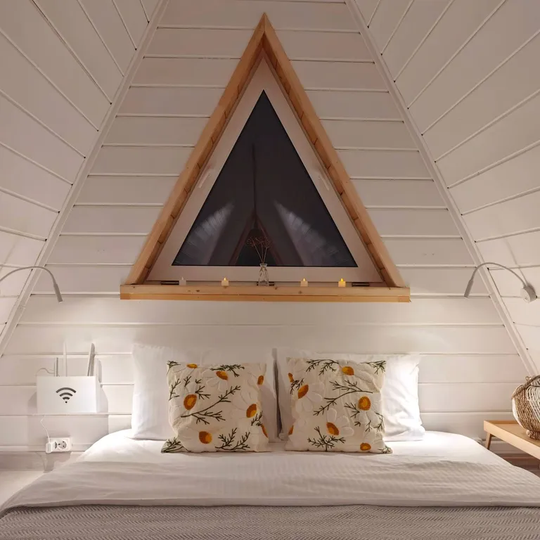 Стильный треугольный дом с видом на лес