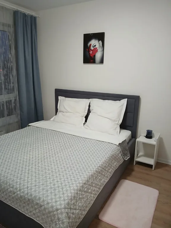 Комфортная квартира для приличных гостей