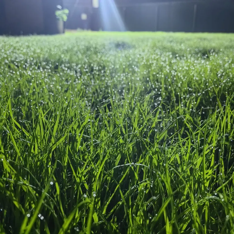 Уютный дом с банькой