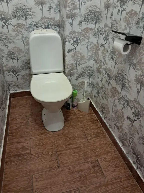 Петербургская квартира в центре города