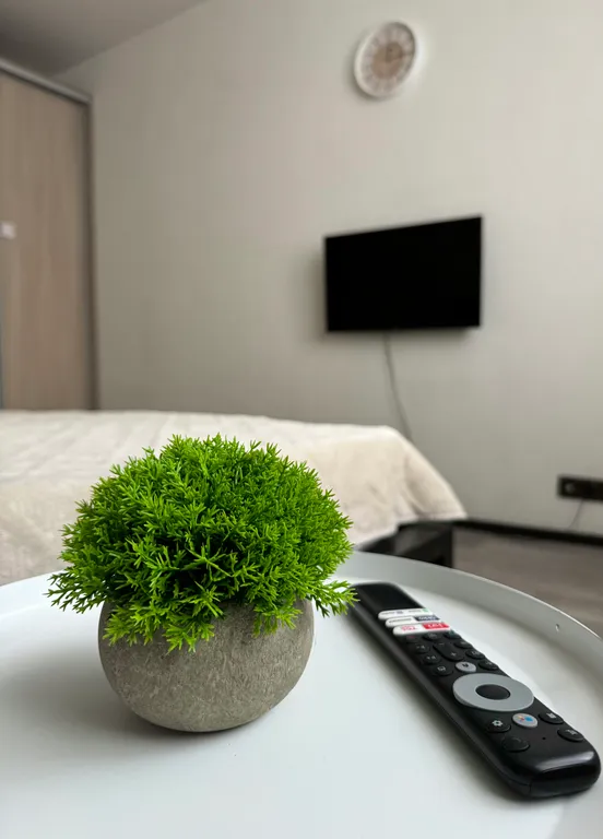 Квартира в центре города