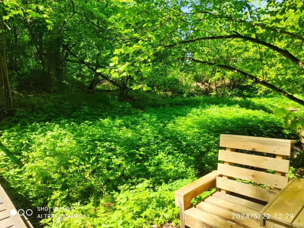 Новый стильный дом, большая лесная территория, недалеко от пруда с пляжем