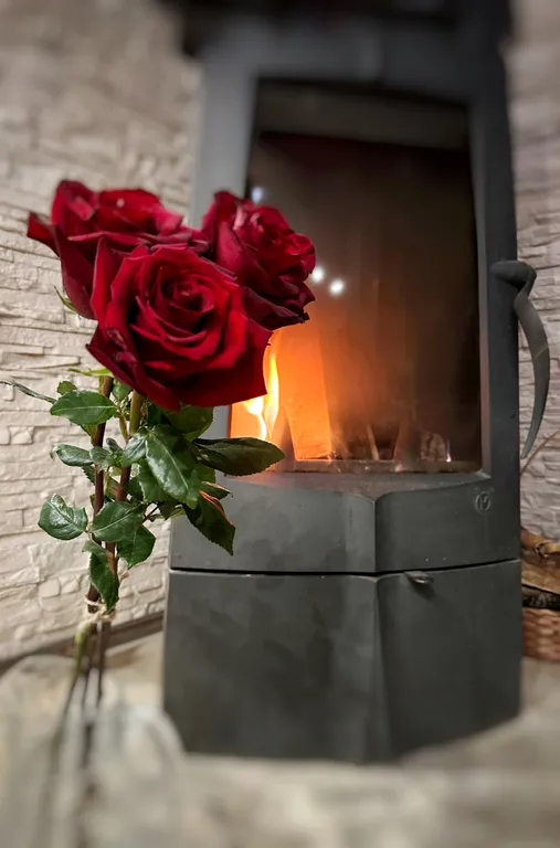 Коттедж Дом с видом на реку — Толстобино