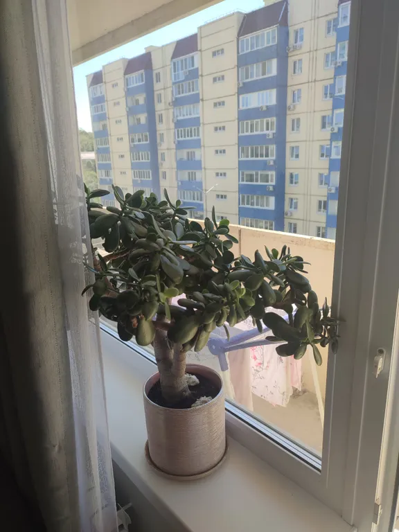 Новая уютная квартира