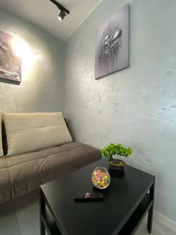 Просторный и современный дом в центре города