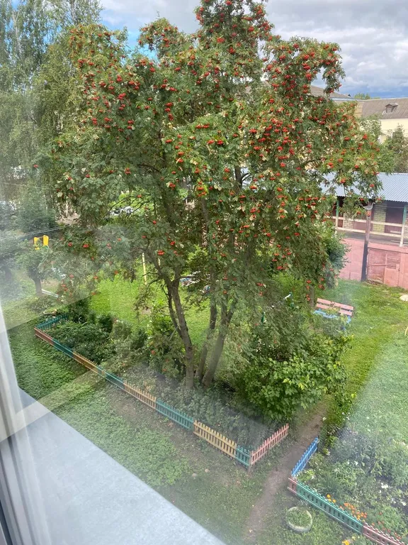 Теплая, уютная квартира в центре города