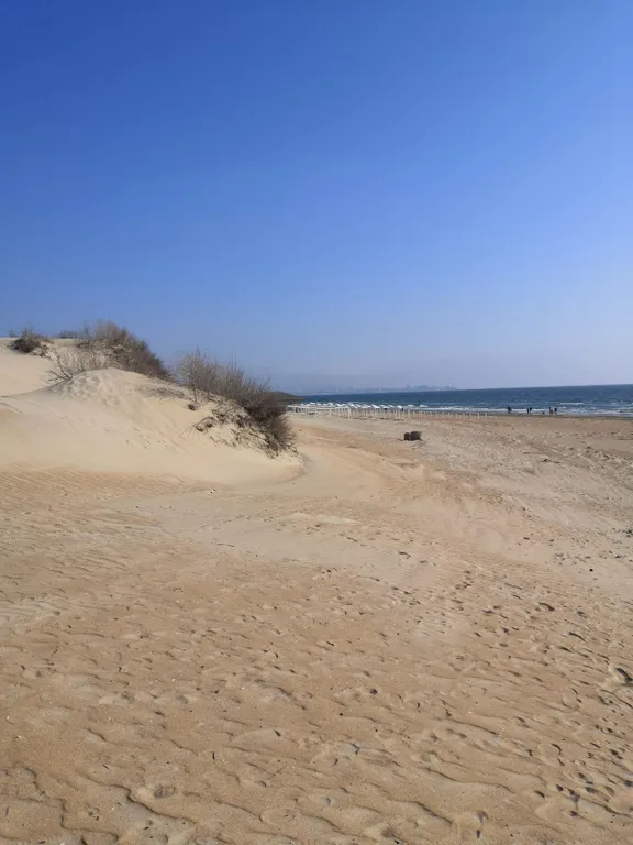 Квартира Апартаменты у моря — Анапа