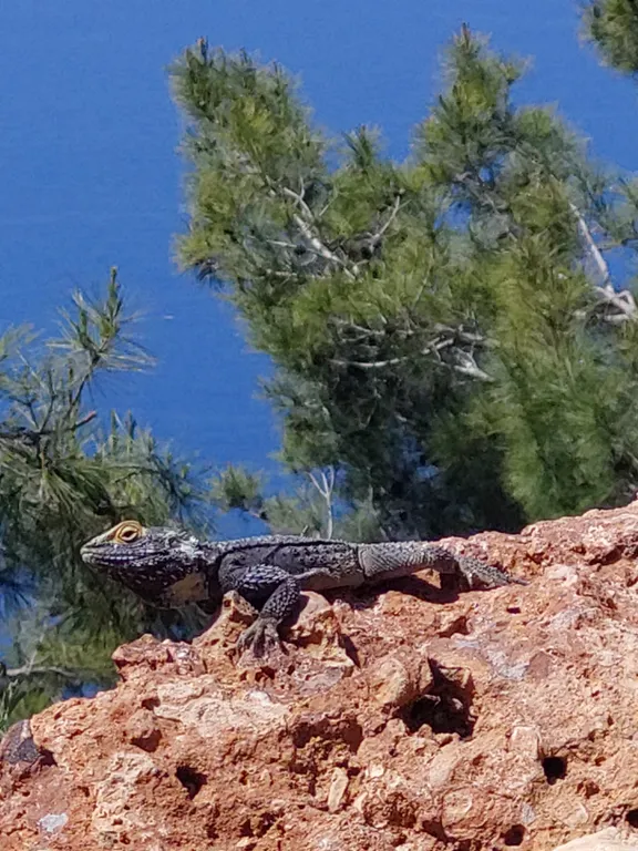 Новая квартира у моря в спокойном районе