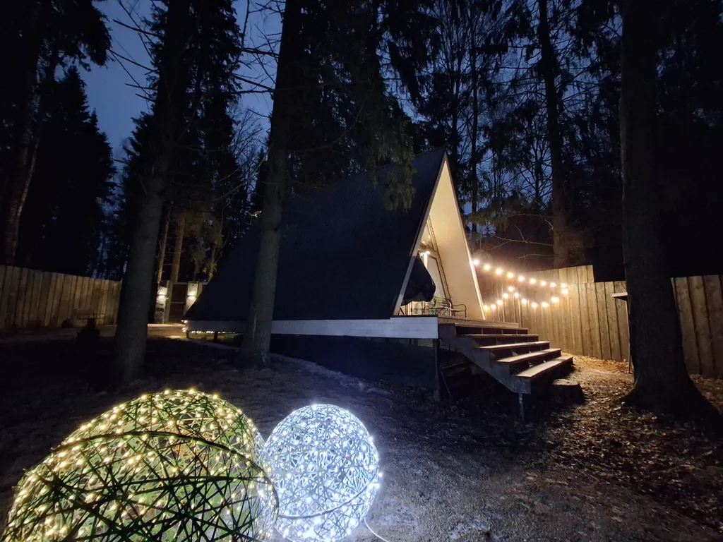 Дом Hamster в хвойном лесу у Большой воды